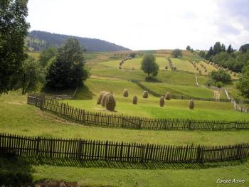 Bucovine Maramures